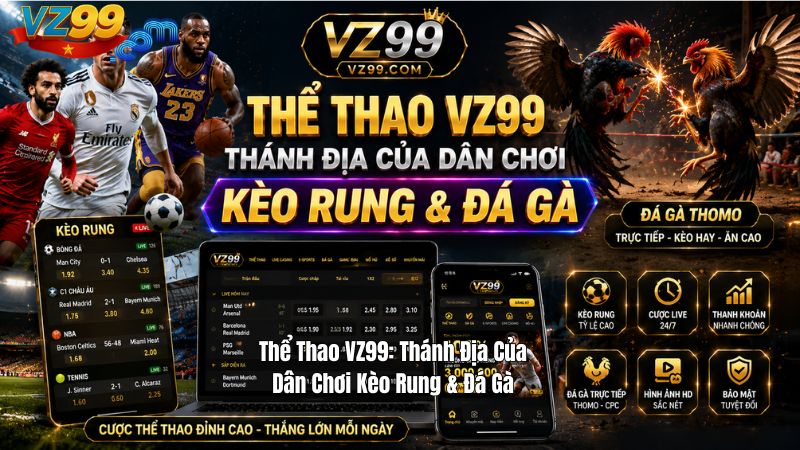 Thể Thao VZ99: Thánh Địa Của Dân Chơi Kèo Rung & Đá Gà